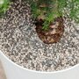 Beplantingsysteem vulkastrat